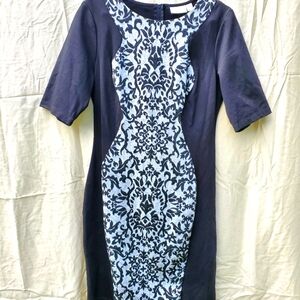 Bisou Bisou Dress with 3/4 Length Sleeves